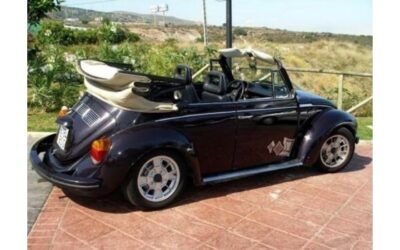 Una capota convertible personalizada transformará su automóvil